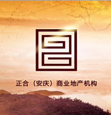 安庆正奇投资发展有限公司